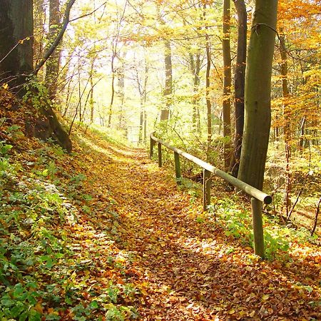 Klostergasthof Roggenburg ภายนอก รูปภาพ