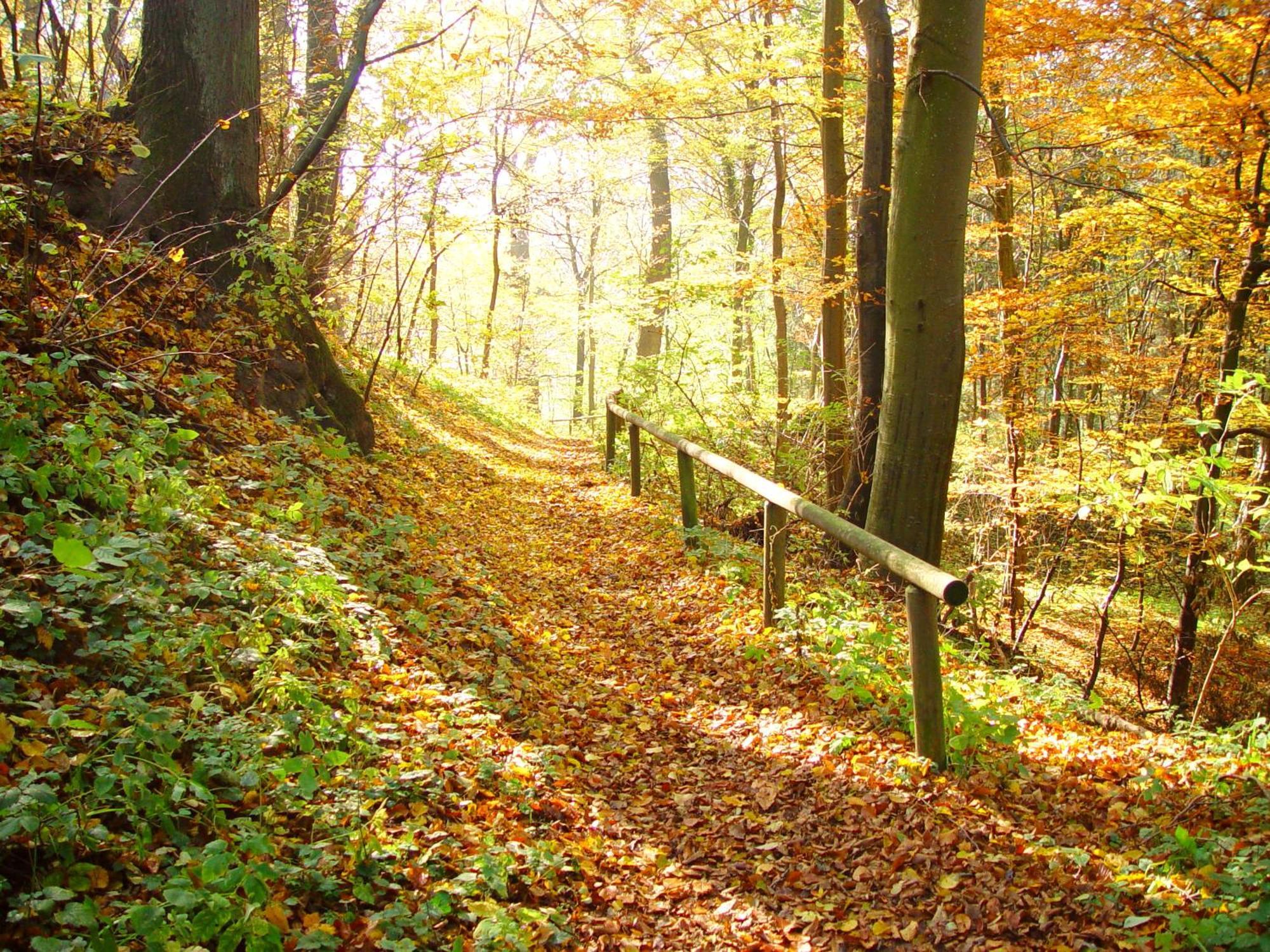 Klostergasthof Roggenburg ภายนอก รูปภาพ