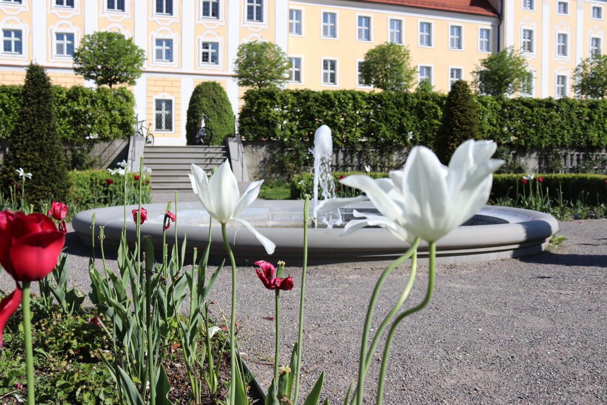 Klostergasthof Roggenburg ภายนอก รูปภาพ