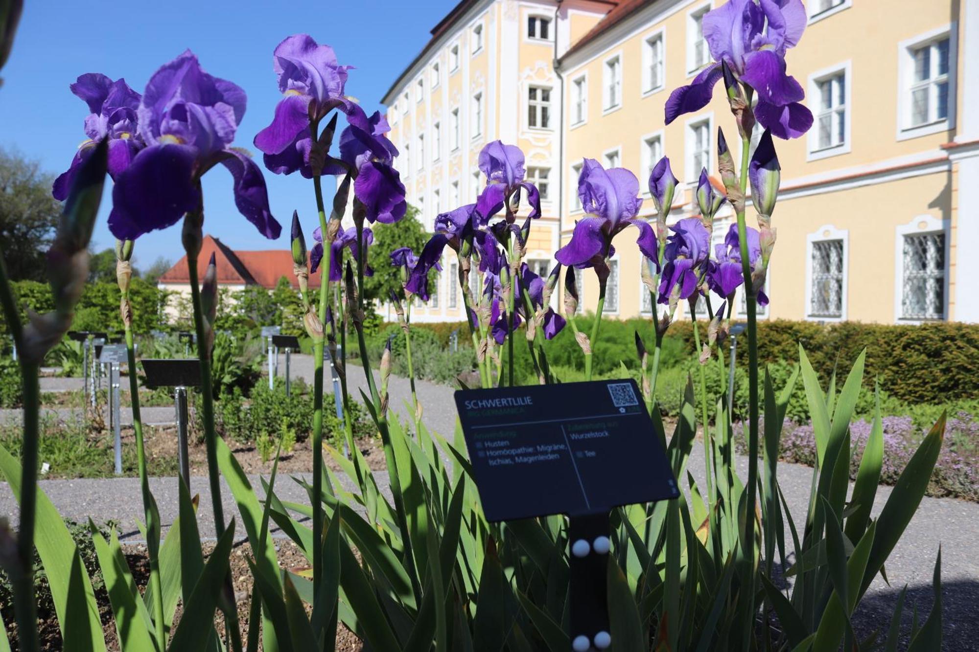 Klostergasthof Roggenburg ภายนอก รูปภาพ