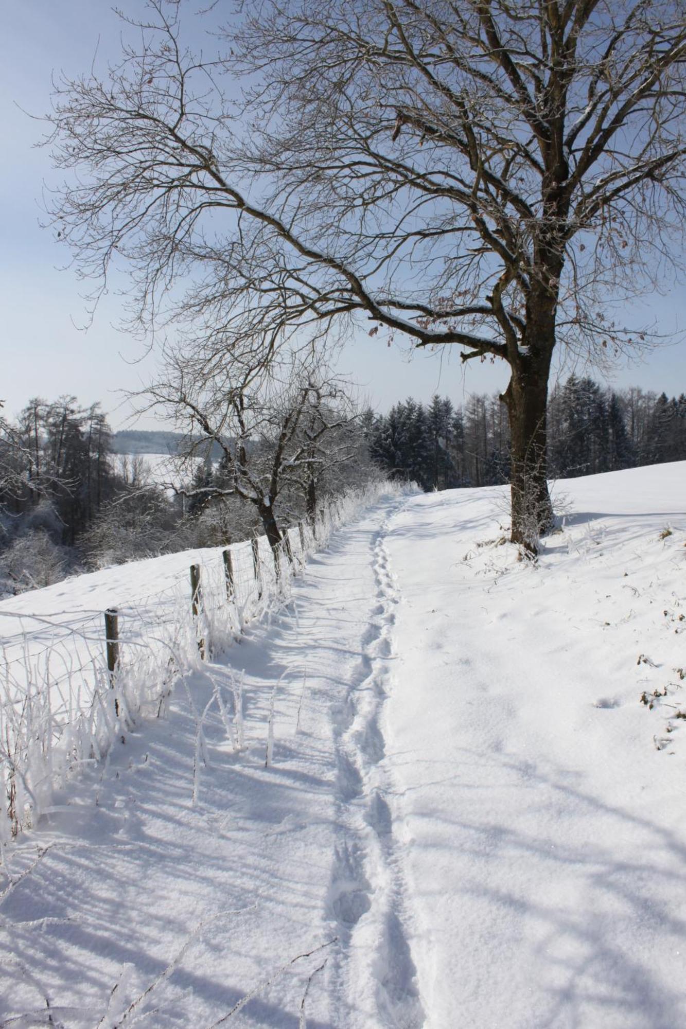 Klostergasthof Roggenburg ภายนอก รูปภาพ